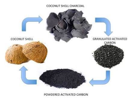 Carbón Activado ¿qué es y para que sirve? — Steemit